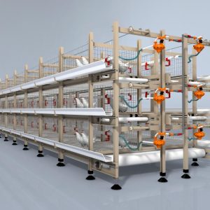 Automatic Broiler Cage System