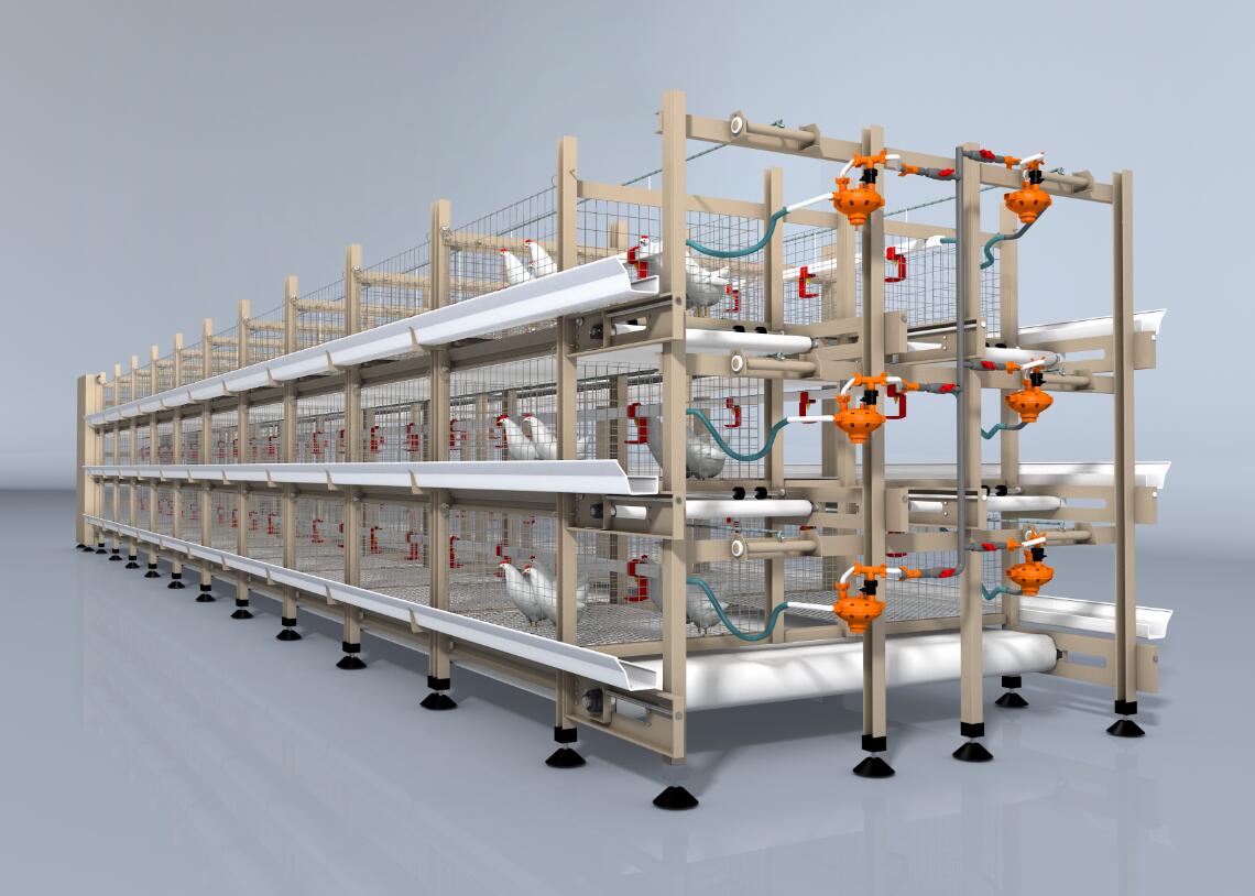 Automatic Broiler Cage System