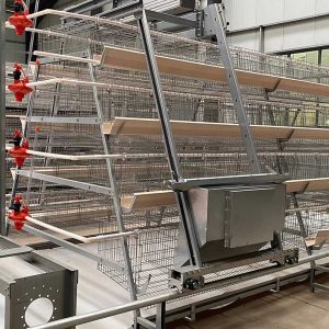 A Type Layer Chicken Cage