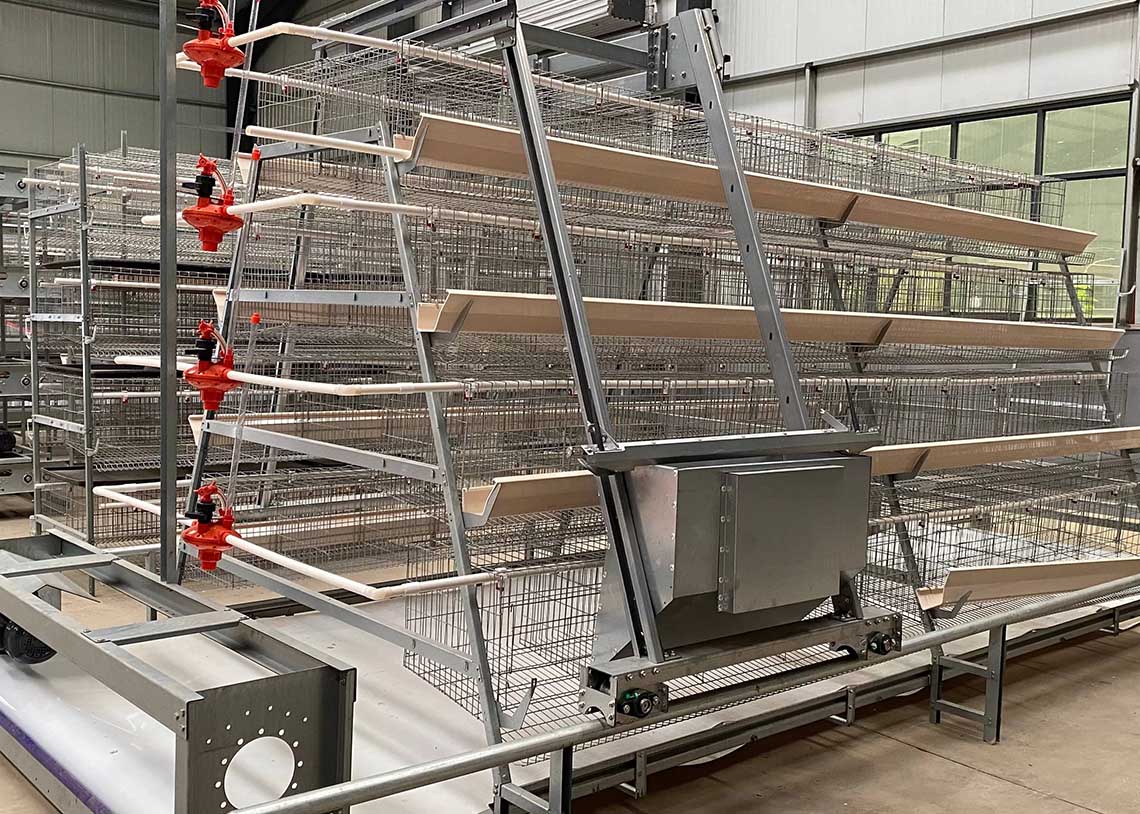 A Type Layer Chicken Cage