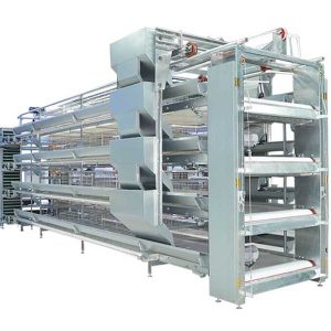 H Type Broiler Chicken Cage