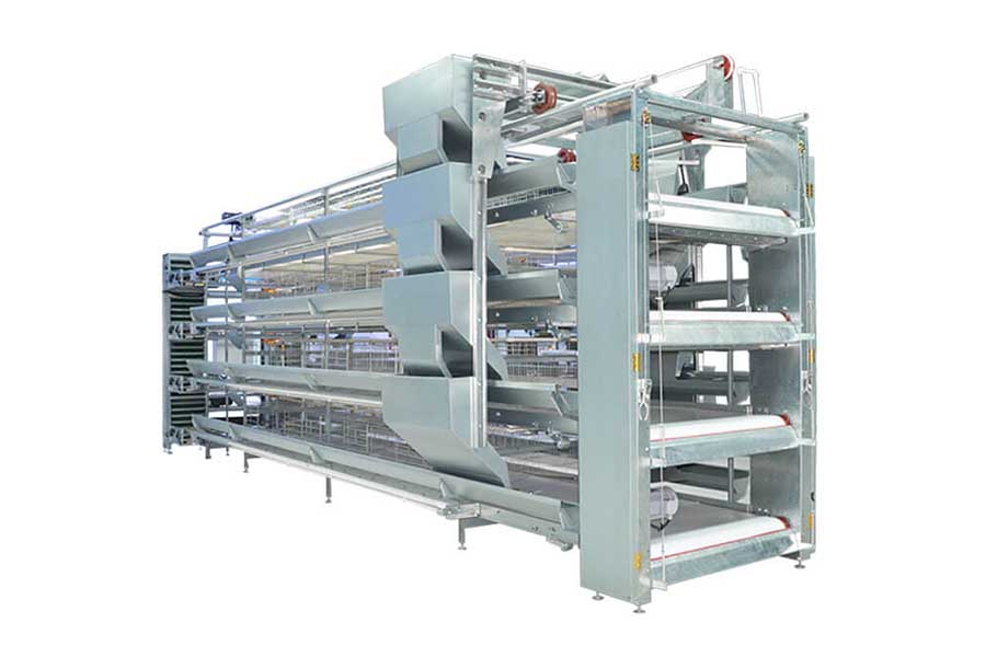 H Type Broiler Chicken Cage