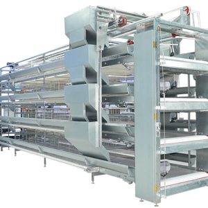 H Type Layer Chicken Cage