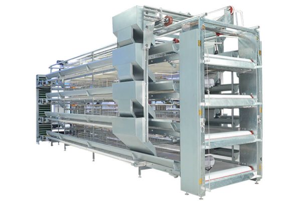 H Type Layer Chicken Cage