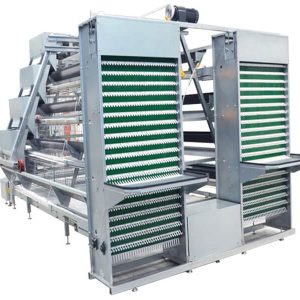 A Type Layer Chicken Cage