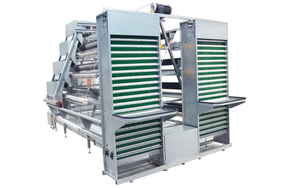 A Type Layer Chicken Cage