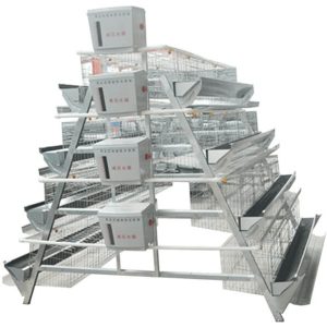 A Type Manual Chicken Cage